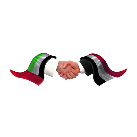 The Egypt - UAE Project (Training for Employment)